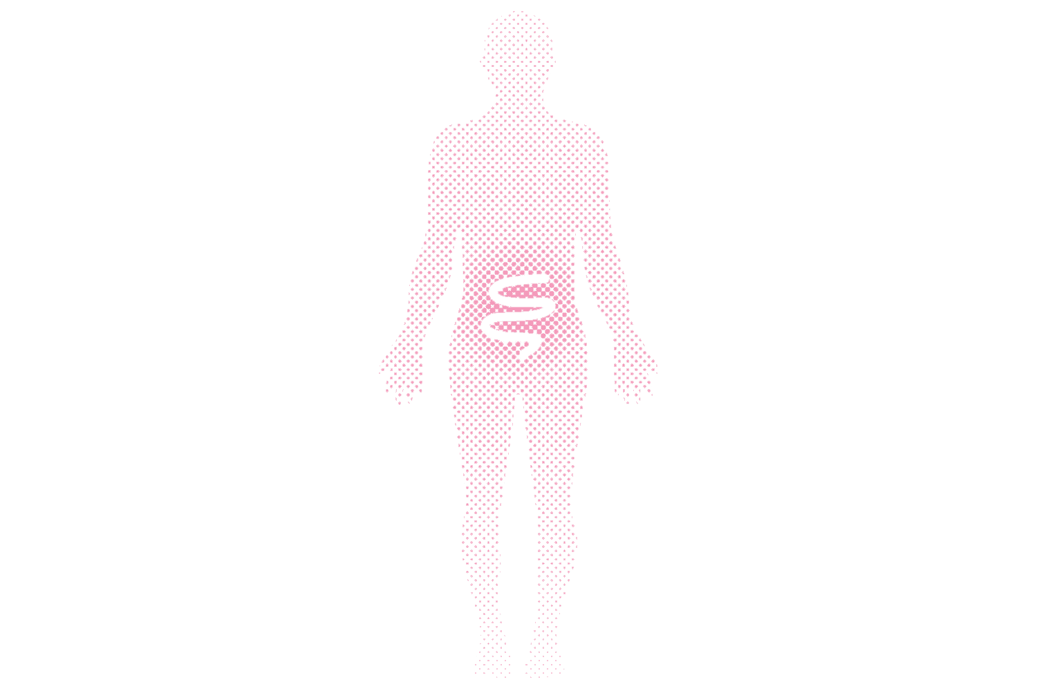 intestino
